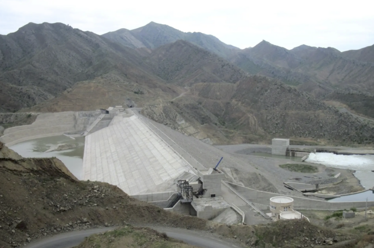 آلودگی ارس