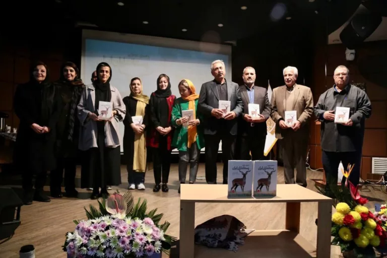 همیشه صبور