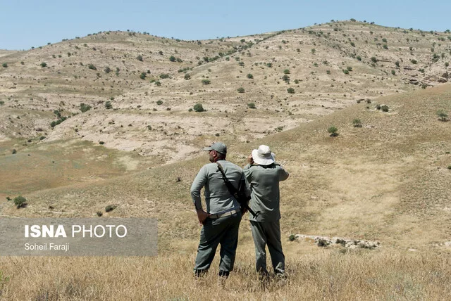 محیط‌بان اردستانی در درگیری با شکارچیان به شدت مصدوم شد