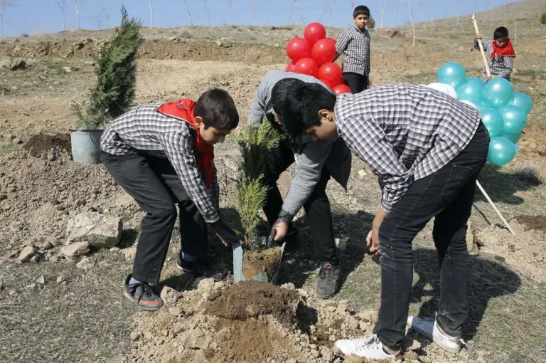 با چهار میلیارد نهال هم هوا آلوده می‌ماند