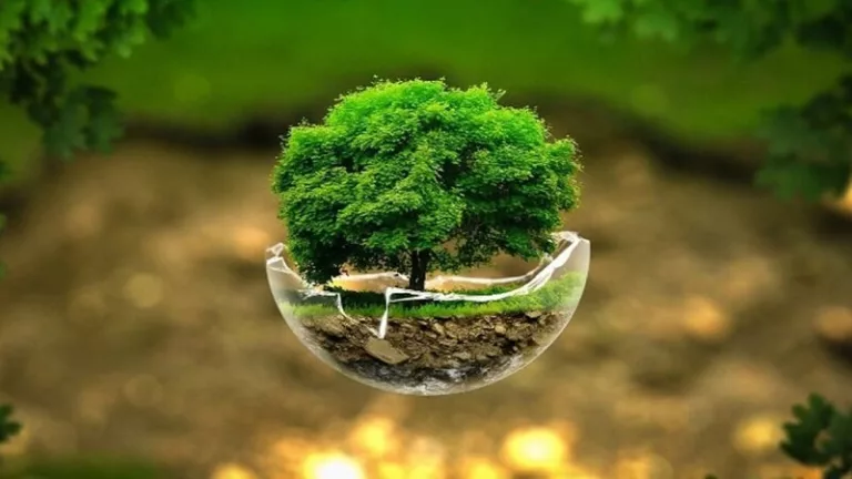 کم توجهی به مسائل محیط زیستی در بودجه ۱۴۰۳