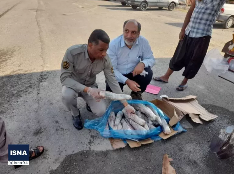 تحقیقات درباره محموله پنج تُنی زبانِ «گُراز» ادامه دارد