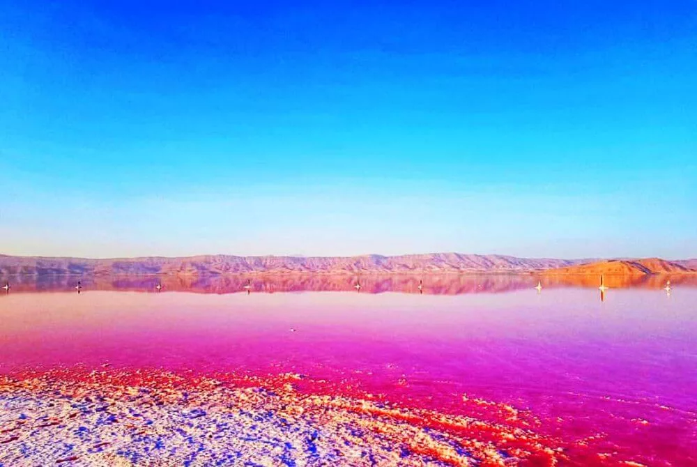 نمک دریاچه مهارلو ۱۰۰ درصد آلوده و غیربهداشتی است