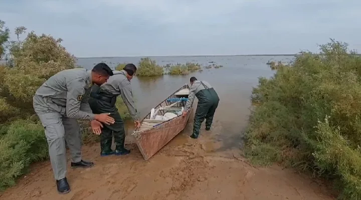 عملیات نجات مارها در اطرف هورالعظیم