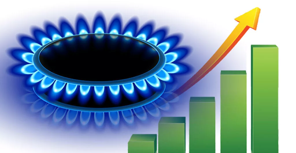 مصرف گاز بخش خانگی به ۶۵ درصدِ تولید رسید