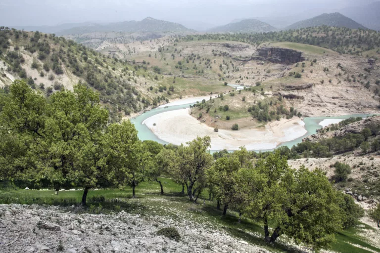 خانه از سقف ویران می‌شود جنگل از کوهستان