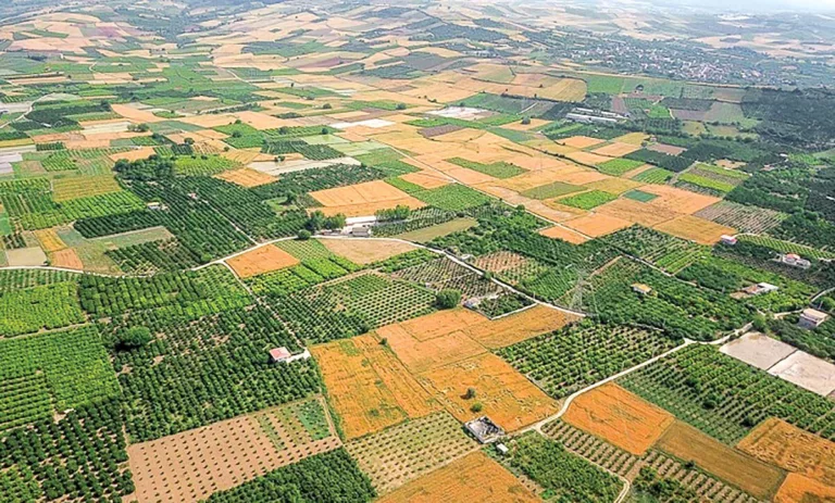 تغییر کاربری تمام اراضی کشاورزی درجه ۱ و ۲ کشور ممنوع است