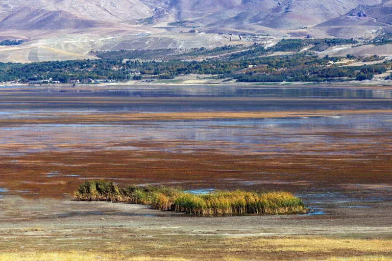 هشدار بیابان‌شدن «دُرگه‌سنگی»