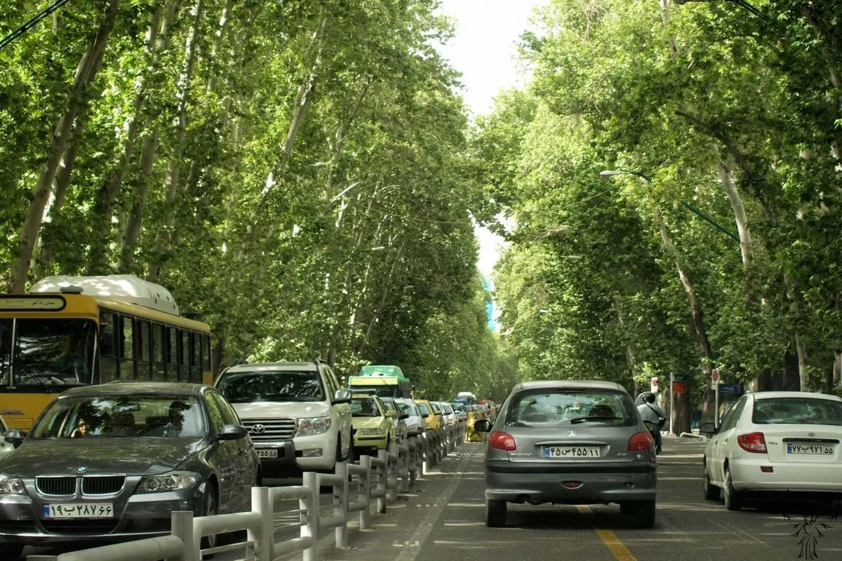 ۳۰۰ اصله درخت در خیابان ولیعصر کاشت می‌شود