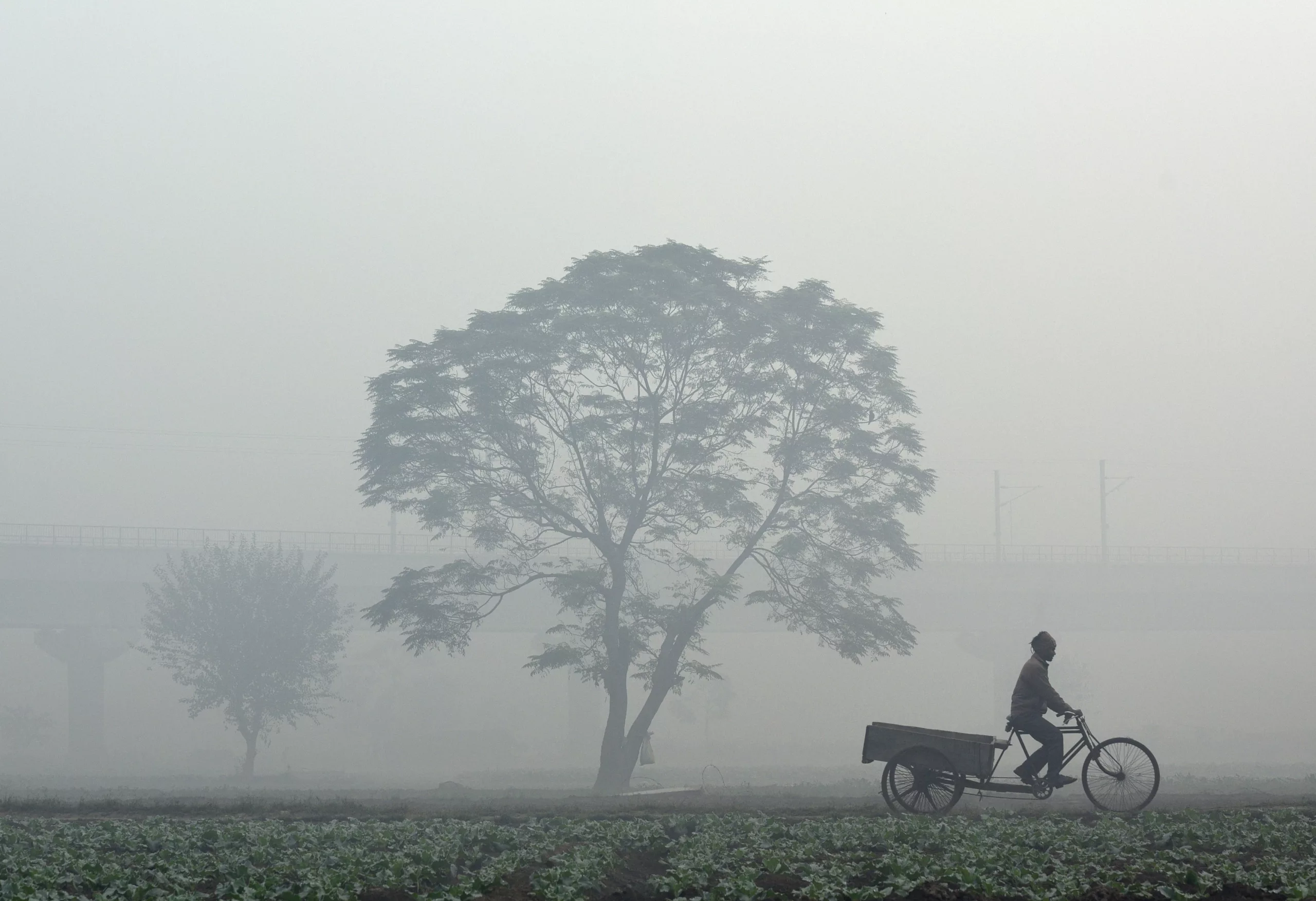آلودگی هوا با «نگاه سیاسی» مدیریت نمی‌شود