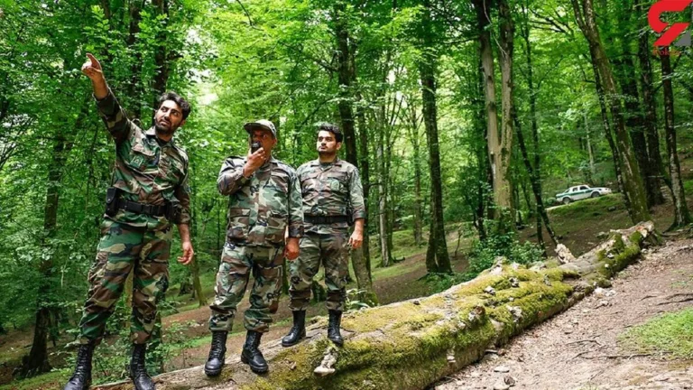 کمبود حقوق و مزایا معضل نیروهای جنگل‌بانی