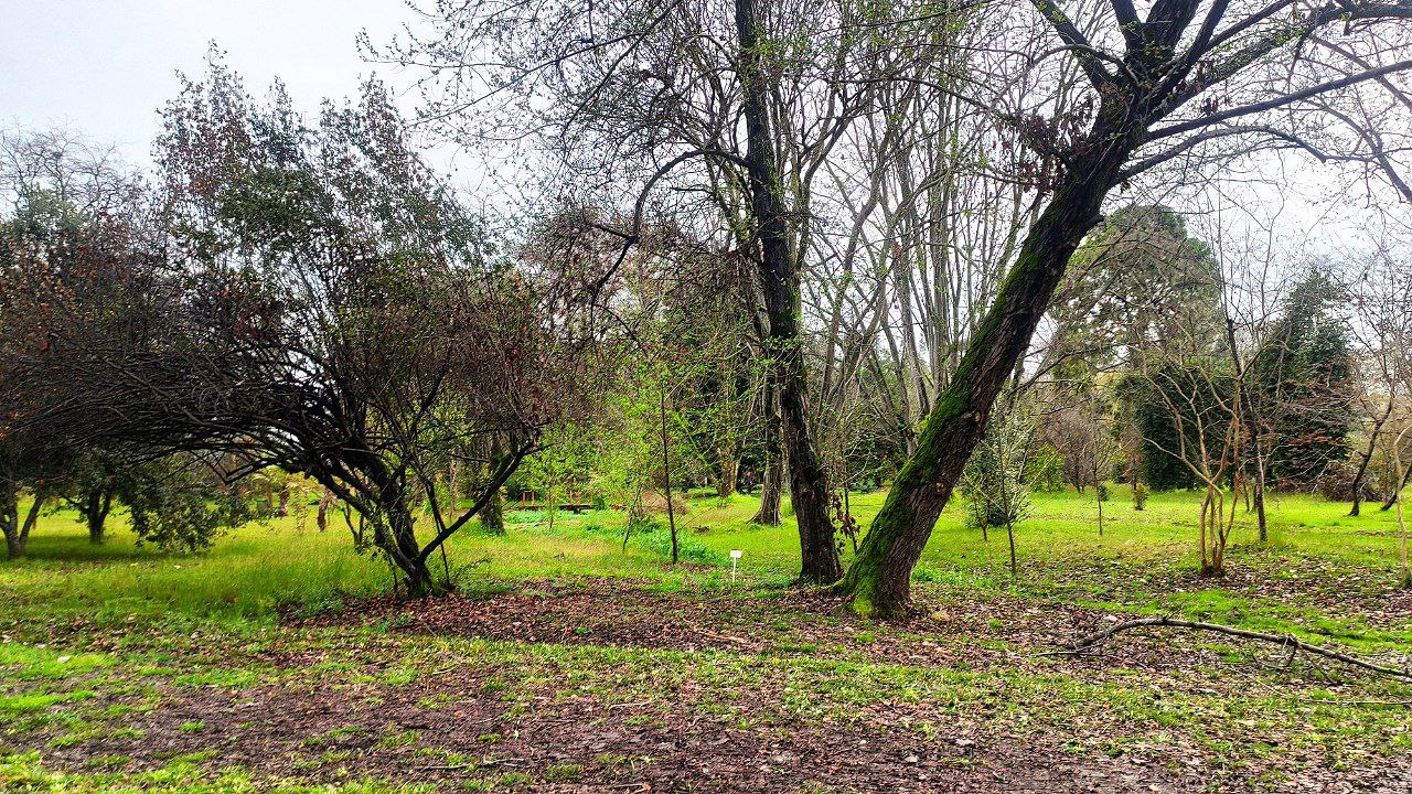 باغ گیاه‌شناسی نوشهر
