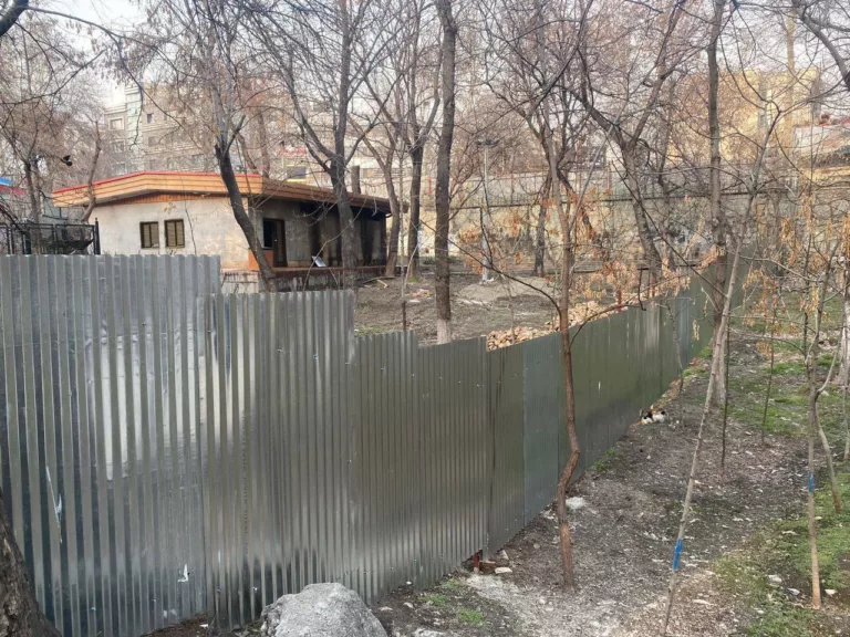 معمای حصارکشی درختان قیطریه