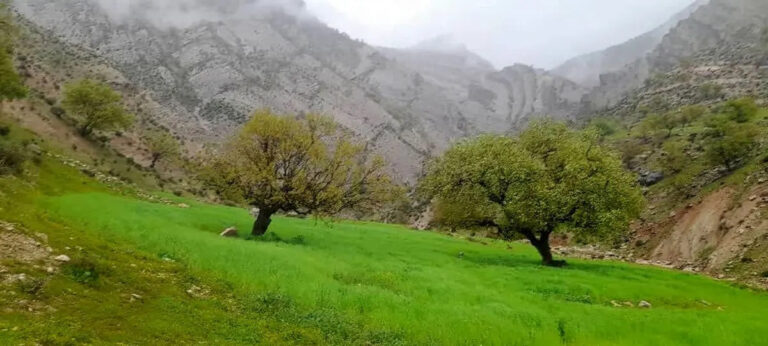 معدن‌کاوی در کمین«دره‌برفی»