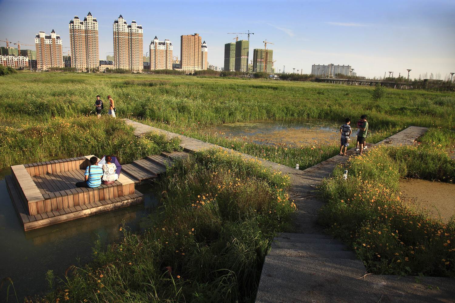 چطور مدل اقتصادی «دونات» به پایداری شهرها کمک می‌کند؟