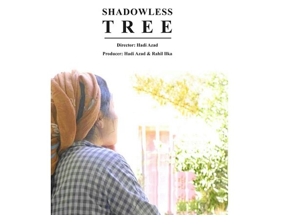 «درخت بی‌سایه»؛ روایتی از فرزندان مهاجران افغانستانی