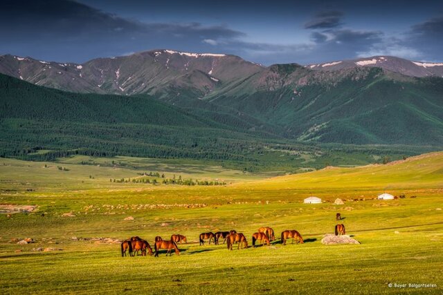 دستیابی مغولستان به درآمد یک میلیارد دلاری از گردشگری