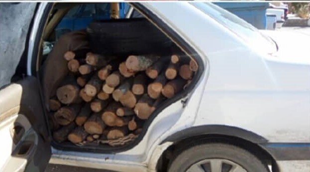کشف 500 کیلوگرم چوب از یک دستگاه خودرو سمند