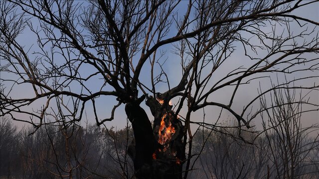 موج گرمای شدید در یونان و خطر آتش‌سوزی‌های جنگلی