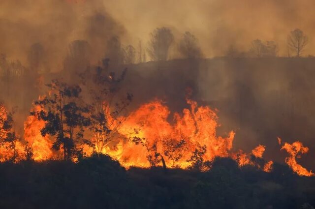 آتش‌سوزی جنگل‌های جنوب‌شرق ترکیه