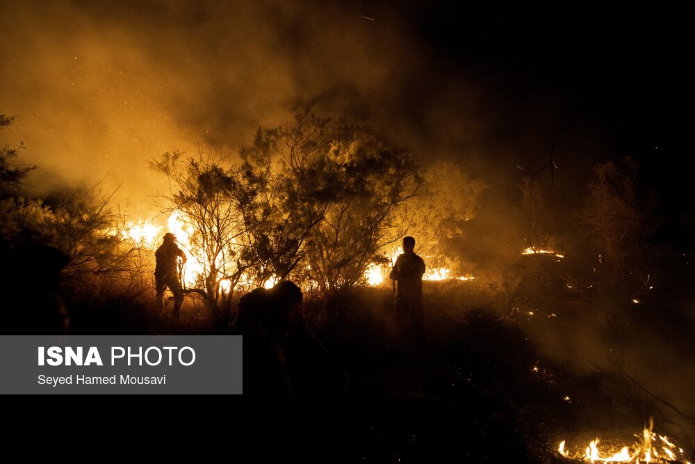 آتش‌سوزی پارک ملی کرخه 3