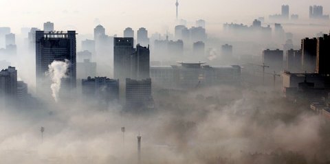 ۱۳۵ میلیون نفر به دلیل آلودگی هوا جان باختند