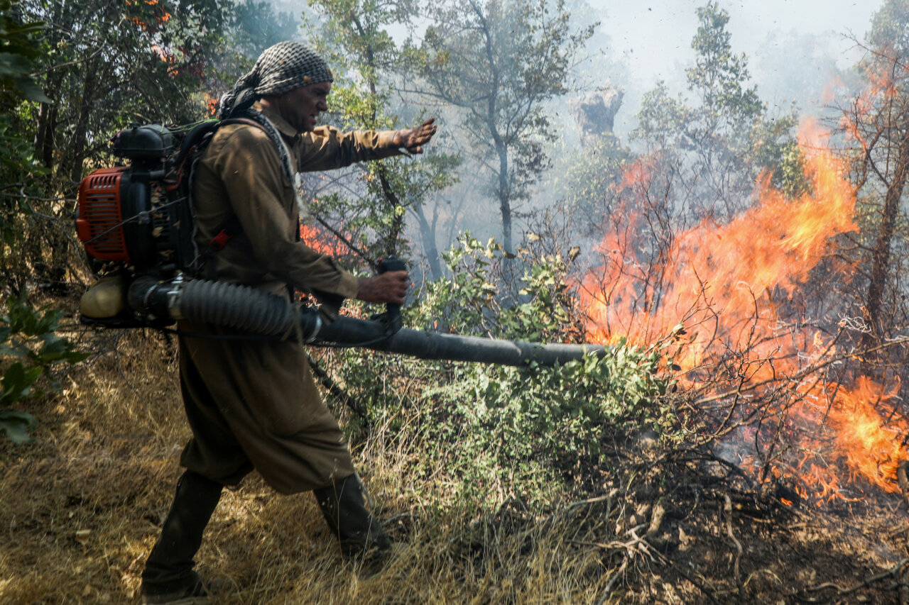 مجازات ناچیز آتش‌‌افروزان جنگل‌ها