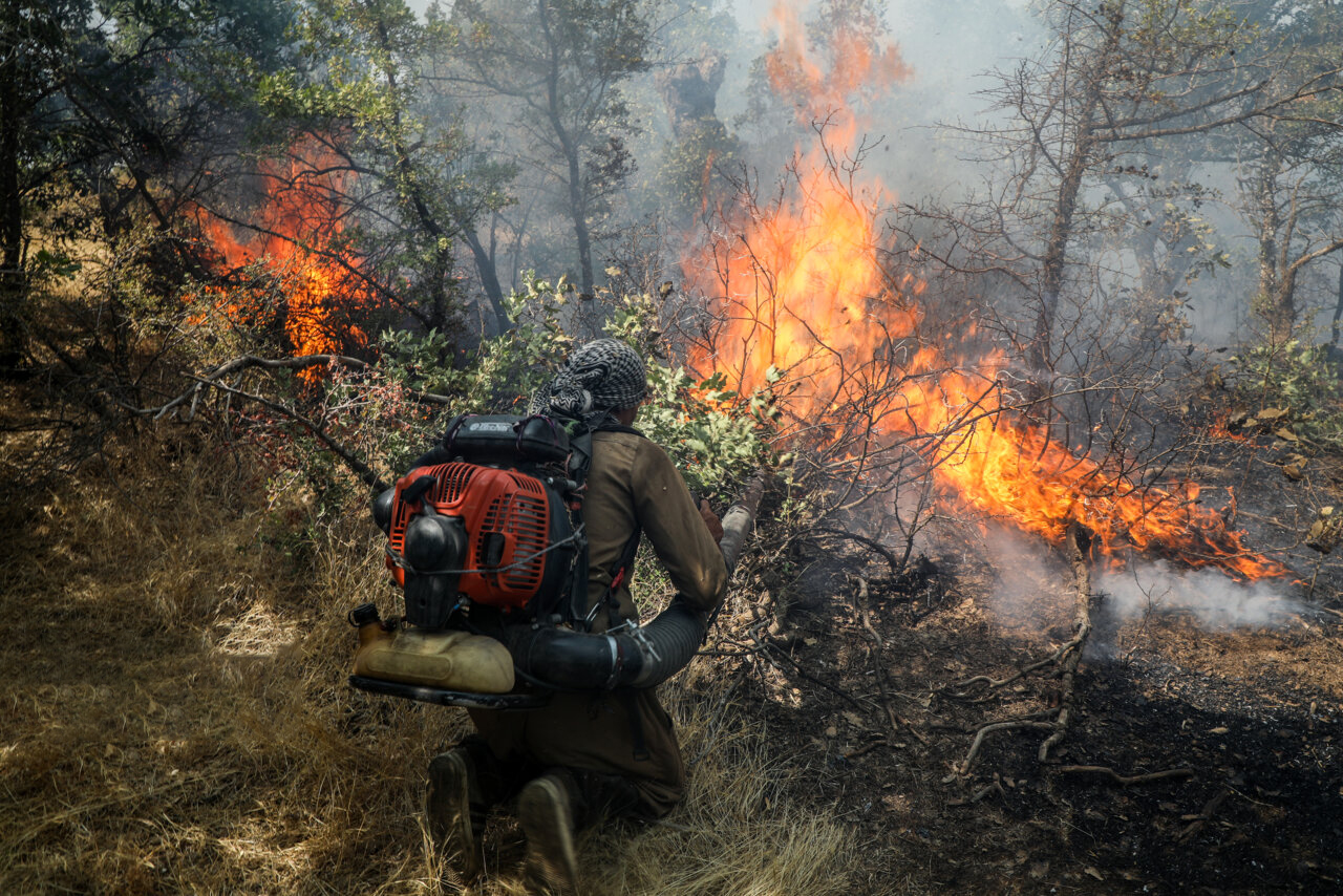 جنگل‌های بلوط خوزستان در آتش وعده‌های عملی‌نشده