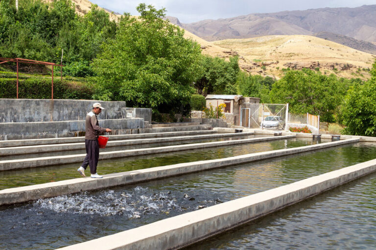 اولویت اشتباه وزارت جهادکشاورزی