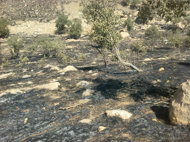 آتش‌سوزی جنگل‌های جنوب خرم‌آباد مهار شد