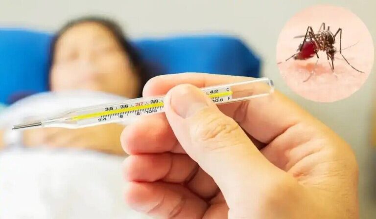 ۱۳۸ مبتلا به تب دنگ/همه‌گیری در شهریور و مهر