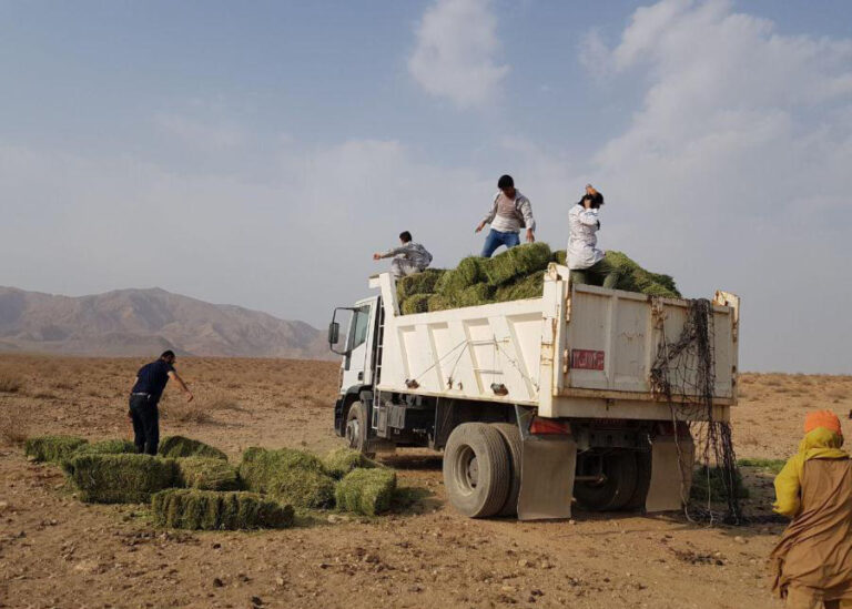 دخالت به‌جای حفاظت مشارکتی