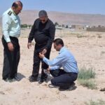 تخریب محوطه باستانی ۶ هزار ساله