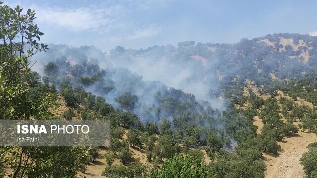 ادامه آتش‌سوزی در ارتفاعات گیلانغرب