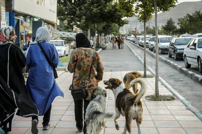 بحران حکمرانی، عامل دوقطبی‌شدن