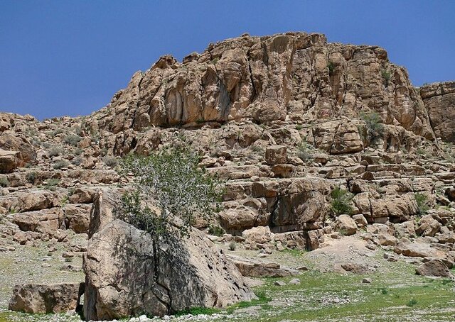تخت جمشید