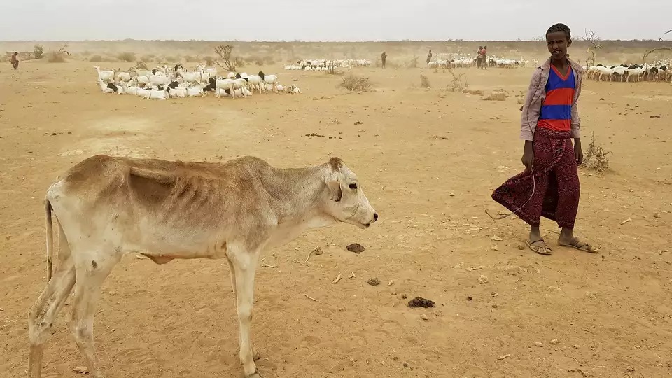 اقتصاد، مرکز توجه جمهوری‌خواهان در سیاست‌های اقلیمی