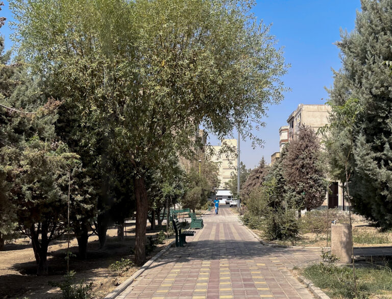 «باصفا» آب و رنگ ندارد