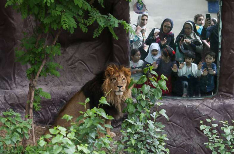 صبوری کنید