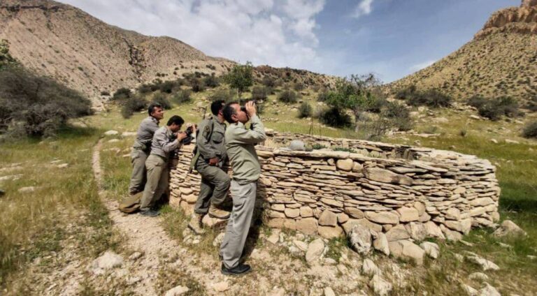 مدیـــــــــــران تحمیــــــــلی