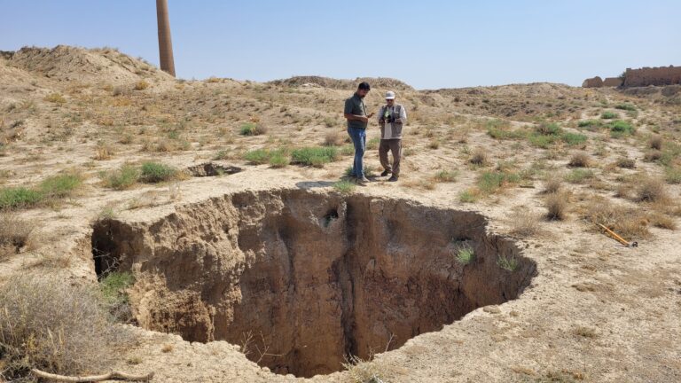 آشیانه پرندگان مهاجر دستخوش مهندسی