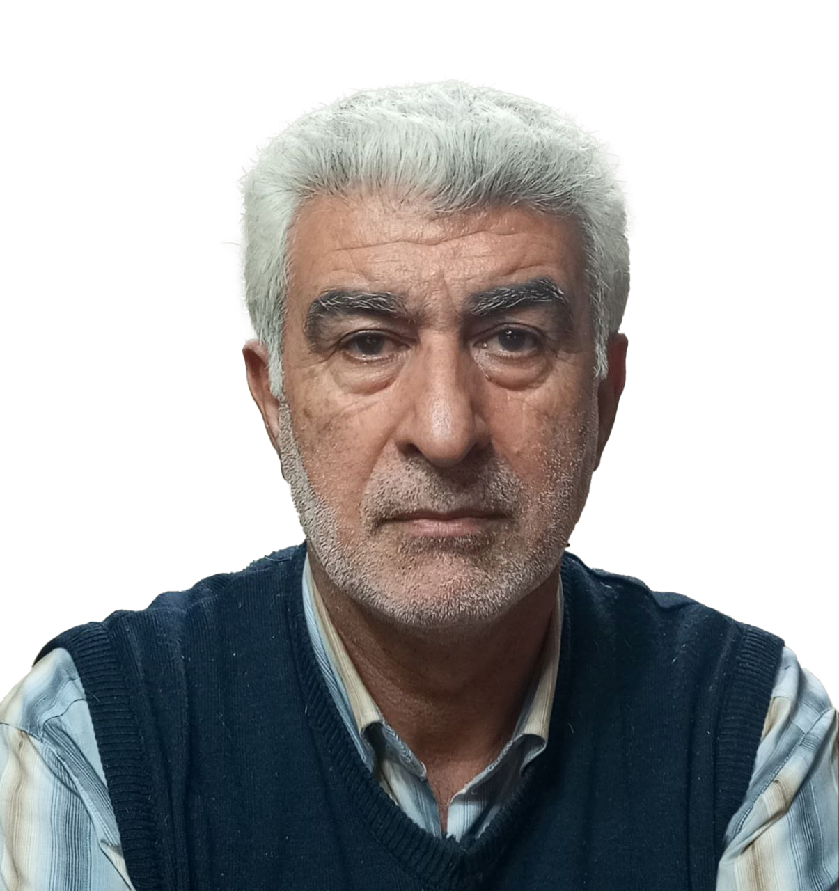 هوشنگ صدفی