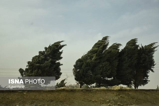 وزش باد