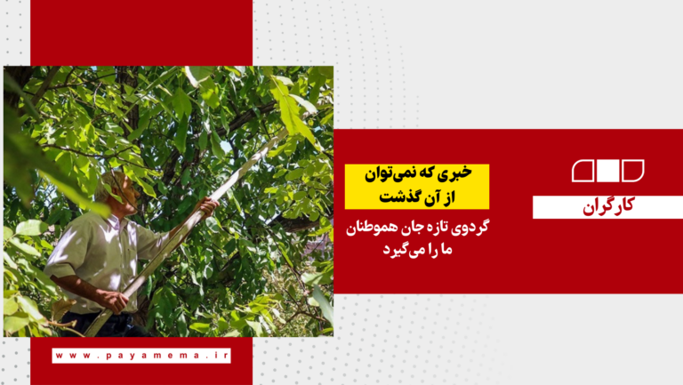 گردوی تازه جان هموطنان ما را می‌گیرد
