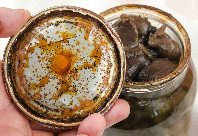 کنسرو خانگی