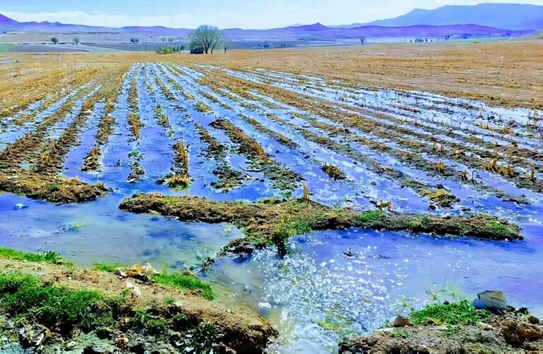 کشاورزی با آب‌های آلوده