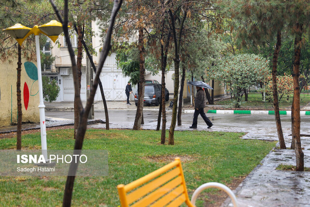 بارش پراکنده