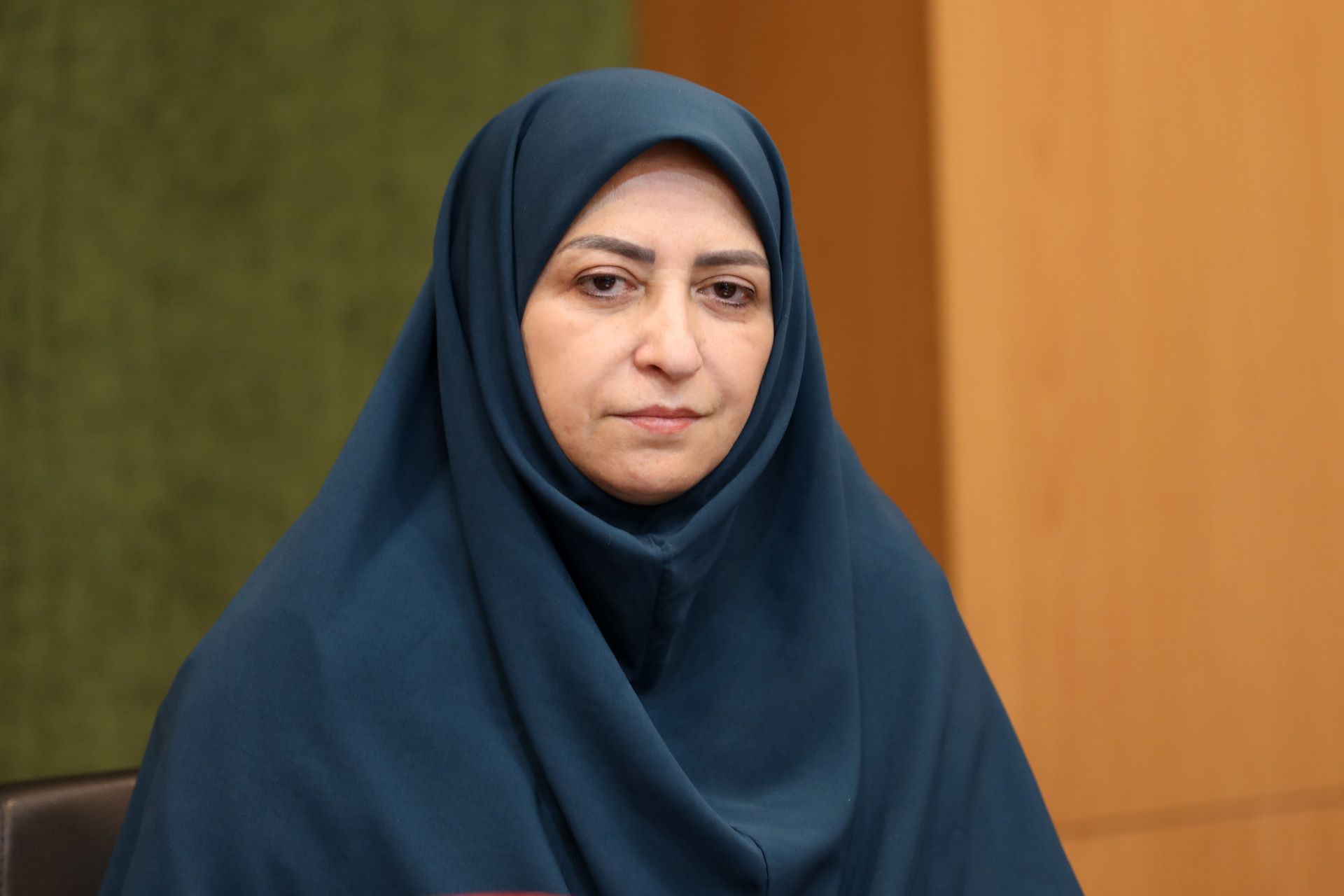 شینا انصاری