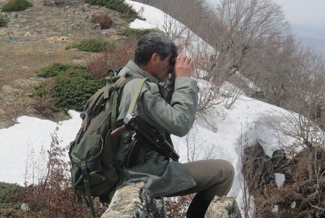 جنگلبان