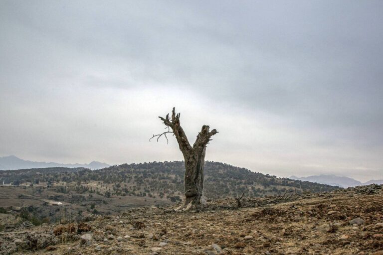 زاگرس را قبل از نابودی دریابیم